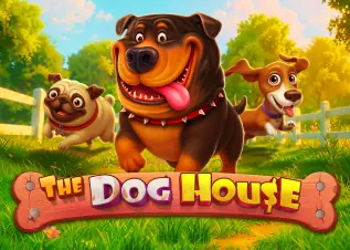 เว็บตรง อันดับ1 The Dog House ทดลองเล่นฟรี